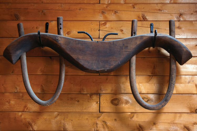DIY Oxen Yoke